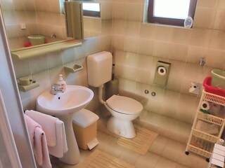 Appartamento per vacanze Nova Vas Caratteristiche 32