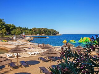 Appartamento per vacanze Nova Vas Ambiente 36