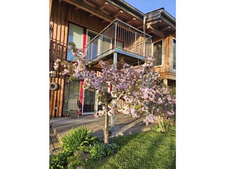 Chalet Maria Alm Registrazione all'aperto 10