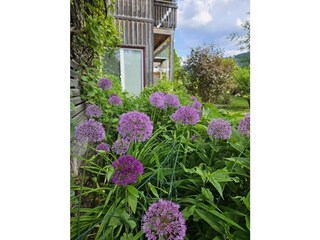 Wunderschöne Blumenpracht im eigenen Garten