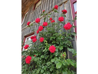 Chalet Maria Alm Registrazione all'aperto 12