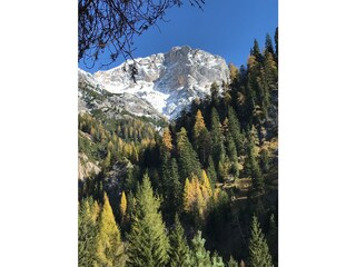 Herbststimmung - Blick auf das Selbhorn