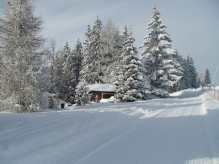 Capanna alpina Oberperfuss Ambiente 19