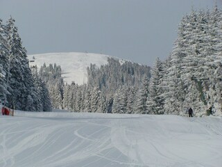 Capanna alpina Oberperfuss Ambiente 20