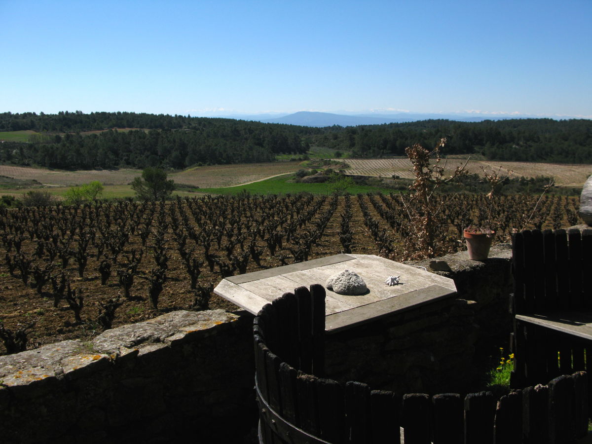 Weinberge bis hin zu den Pyrenäen