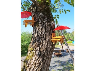 Ferienwohnung Rothenberg Außenaufnahme 13