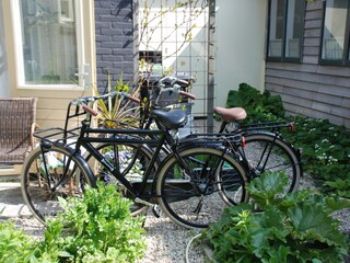 Casa per le vacanze Bergen (Holland) Registrazione all'aperto 4