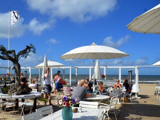 Vakantiehuis Bergen (Holland) Omgeving 15