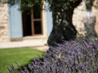 Casa per le vacanze Garrigues-Sainte-Eulalie Registrazione all'aperto 6