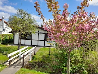 Frühling im Apfelhaus