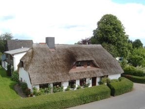 Ferienwohnung "Silbermööw" - Ostseebad Schönhagen - image1