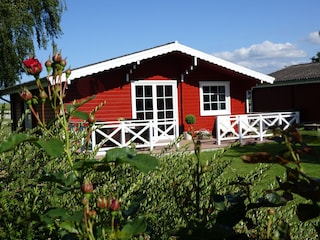 Ferienhaus Gelting Außenaufnahme 1