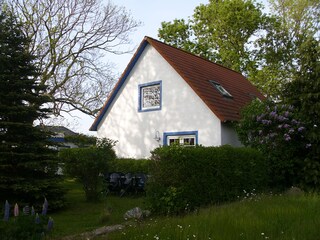 Hecken und Sitzecke