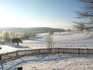 Blick in den verschneiten Garten