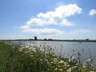 Casa per le vacanze De Cocksdorp Ambiente 31