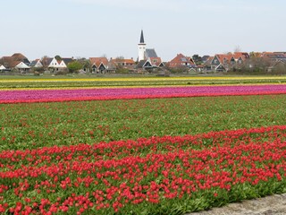 Casa per le vacanze De Cocksdorp Ambiente 30