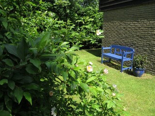 Casa per le vacanze De Cocksdorp Registrazione all'aperto 7