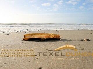 Villa Den Burg Document 43