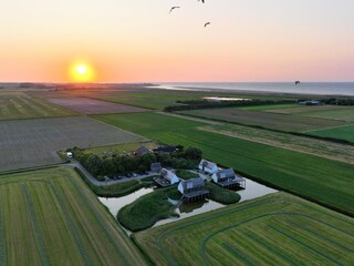 Waddenhof