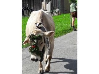 Appartamento per vacanze Au in Vorarlberg Ambiente 25