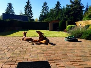 Ferienhaus für Mensch und Hund - Blankenheim - image1