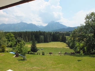 Sicht vom Balkon