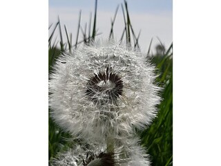 Appartamento per vacanze Zoutelande Ambiente 26