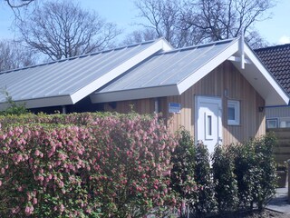 Appartamento per vacanze Zoutelande Registrazione all'aperto 6