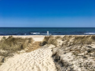 Dünenweg mit Blick auf die Ostsee
