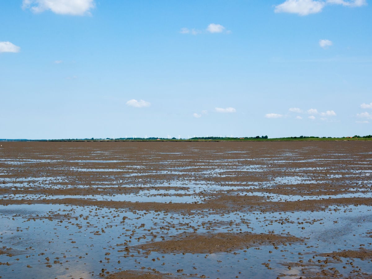 Das Wattenmeer