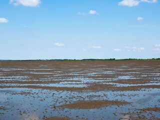 Das Wattenmeer