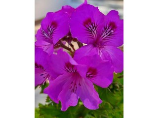 Villa Playa Blanca Registrazione all'aperto 15