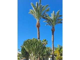 Villa Playa Blanca Registrazione all'aperto 16