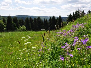 Casa per le vacanze Frauenwald Registrazione all'aperto 5