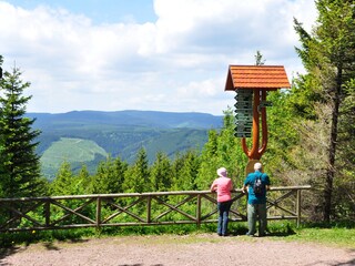Casa de vacaciones Frauenwald Entorno 17