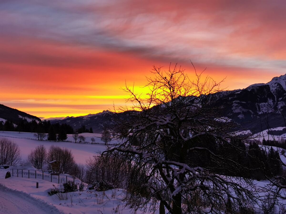 Morgenstimmung Ferienhaus Fuchsmoos