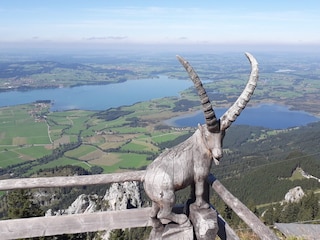 Tegelberg bei Füssen