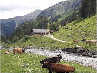 Alpe Breitengehren Einödsbach