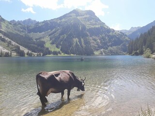 Naturschutzgebiet Vilsalpsee