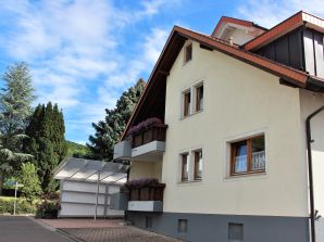 Ferienwohnung Landerer - Endingen am Kaiserstuhl - image1