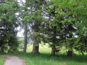 Ferienwohnung im Schwarzwaldhaus Engel