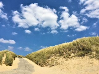 Ferienhaus Julianadorp Umgebung 26