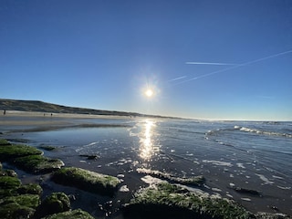 Ferienhaus Julianadorp Umgebung 30