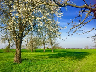 Unsere Umgebung. Frühling