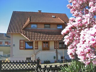 Appartamento per vacanze Rheinhausen Registrazione all'aperto 2