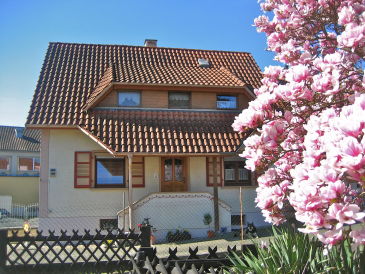 Ferienwohnung Bitto OH-Europapark Rust