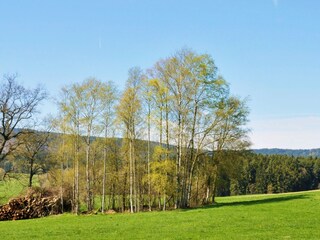 Blick über den Dorfrand auf das Schneebergmassiv
