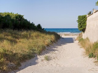 Chalet Playa de Muro Entorno 33