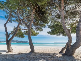 Villa Alcudia Entorno 43