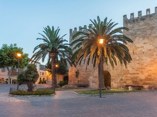 Villa Alcudia Entorno 44